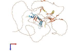 Sp2 Protein (AA 1-612) (His tag)