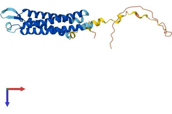 Synaptogyrin 1 Protein (SYNGR1) (AA 1-233) (His tag)