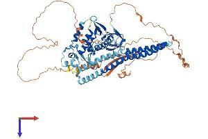 SNX18 Protein (AA 1-628) (His tag)