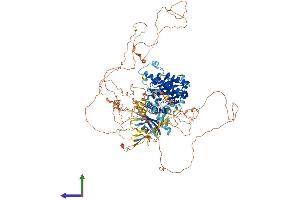 Protein Structure (PS) image for Folliculin Interacting Protein 2 (FNIP2) (AA 1-1114) protein (His tag) (ABIN7553933)
