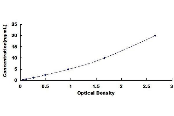 SMAD4 ELISA Kit