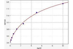 SLC25A4 ELISA Kit