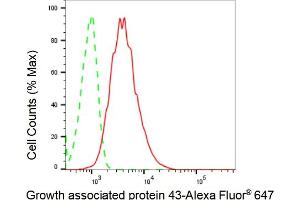 Flow cytometric analysis of Growth associated protein 43 expression in HAP-1 cells using Growth associated protein 43 antibody (ABIN7798804), 1:2,000). (Rekombinanter GAP43 Antikörper)