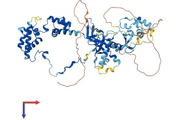 MTA3 Protein (AA 1-591) (His tag)