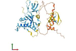 Protein Structure (PS) image for NADPH Oxidase Organizer 1 (NOXO1) (AA 1-349) protein (His tag) (ABIN7559824)