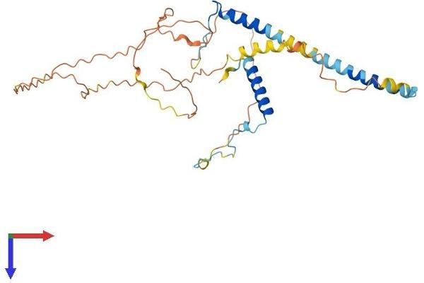 RSRC1 Protein (AA 1-334) (His tag)