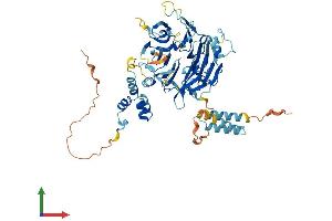 Protein Structure (PS) image for F-Box Protein 24 (FBXO24) (AA 1-580) protein (His tag) (ABIN7547561)