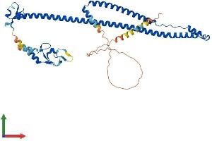 Protein Structure (PS) image for Tripartite Motif Containing 31 (TRIM31) (AA 1-425) protein (His tag) (ABIN7544745)
