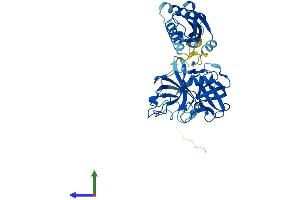 Protein Structure (PS) image for Transmembrane Protease, Serine 11F (TMPRSS11F) (AA 1-438) protein (His tag) (ABIN7544443)