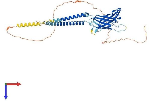 BSCL2 Protein (AA 1-398) (His tag)