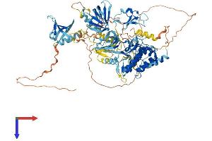 PKD2 Protein (AA 1-878) (His tag)