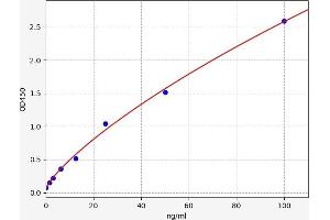 Fibronectin ELISA Kit