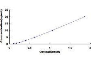 Typical standard curve (Fibrillin 1 ELISA Kit)