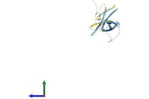 Protein Structure (PS) image for Ring Finger Protein 40, E3 Ubiquitin Protein Ligase (RNF40) (AA 1-1001) protein (His tag) (ABIN7563700)