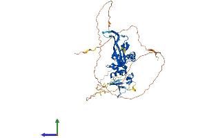 AlphaFold protein structure predicition of Mouse Recombinant Btbd10 Protein, UniprotID Q80X66 (BTBD10 Protein (AA 1-475) (His tag))