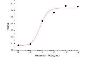 ELISA image for Interleukin 17A (IL17A) (Active) protein (His tag) (ABIN7320557) (Interleukin 17a Protein (His tag))