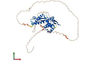Protein Structure (PS) image for Melanoma Antigen Family A, 11 (MAGEA11) (AA 1-429) protein (His tag) (ABIN7549225)