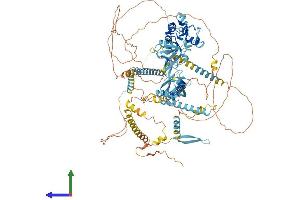 Protein Structure (PS) image for PDZ Domain Containing Ring Finger 3 (PDZRN3) (AA 1-1066) protein (His tag) (ABIN7555131)