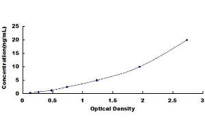 ELISA image for Cystatin A (Stefin A) (CSTA) ELISA Kit (ABIN431729)