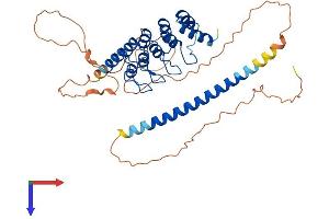GABPB2 Protein (AA 1-414) (His tag)