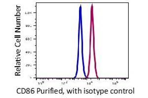 Flow Cytometry (FACS) image for anti-CD86 (CD86) antibody (ABIN5067874) (CD86 Antikörper)