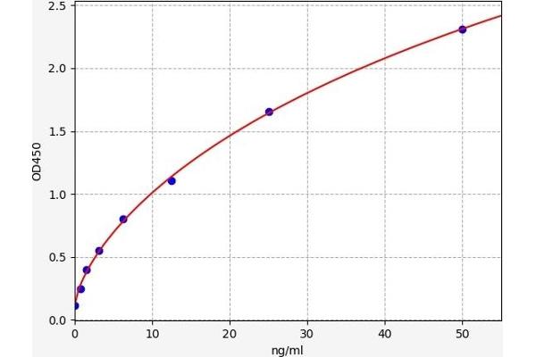 SOD1 ELISA Kit
