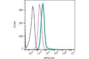 Cell surface detection of P2RX7 in intact living human  monocytic leukemia cells: + Rabbit IgG isotype control-APC ().