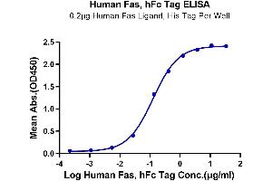 Immobilized Human Fas Ligand, His Tag at 2 μg/mL (100 μL/Well) on the plate. (FAS Protein (AA 26-173) (Fc Tag))