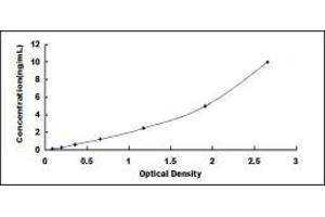 Typical standard curve (COCH ELISA Kit)