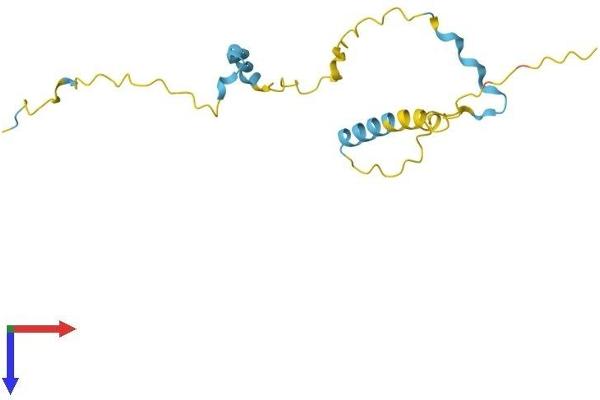 Proline Rich 13 Protein (PRR13) (AA 1-148) (His tag)