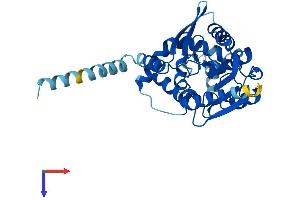ABHD6 Protein (AA 1-336) (His tag)