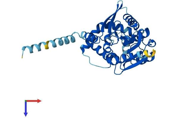 ABHD6 Protein (AA 1-336) (His tag)