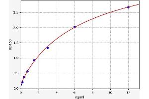 PAD4 ELISA Kit