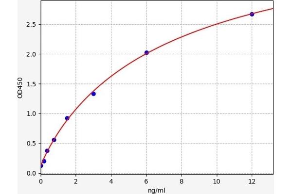 PAD4 ELISA Kit