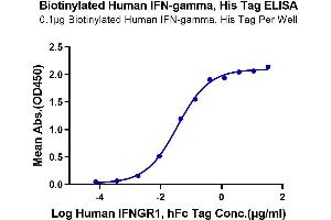 Immobilized Biotinylated Human IFN-gamma at 1 μg/mL (100 μL/Well) on the plate. (Interferon gamma Protein (IFNG) (His-Avi Tag,Biotin))