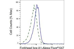 Validation of forkhead box A1 knockdown using flow cytometry. (Rekombinanter FOXA1 Antikörper)