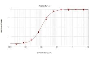 ELISA results of Anti-Hemagglutinin (HA) (Mouse) Monoclonal Antibody Clone 20E8.
