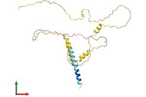 Protein Structure (PS) image for Synapse Differentiation Inducing 1 (SYNDIG1) (AA 1-258) protein (His tag) (ABIN7561939)