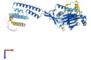 ACCN5 Protein (AA 1-505) (His tag)