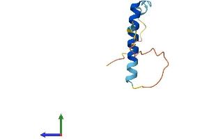 Protein Structure (PS) image for Neurogranin (NRGN) (AA 1-78) protein (Fc Tag) (ABIN7549828)