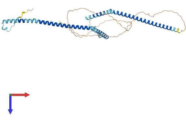 WTAP Protein (AA 1-396) (His tag)