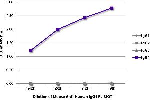ELISA plate was coated with purified human IgG1, IgG2, IgG3, and IgG4. (Maus anti-Human IgG4 (Fc Region) Antikörper (Biotin))
