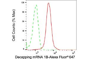 Flow cytometric analysis of Decapping mRNA 1B expression in HeLa cells using Decapping mRNA 1B antibody (ABIN7798281), 1:1,000).