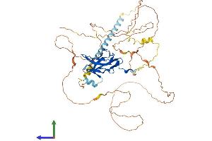 Protein Structure (PS) image for Runt-Related Transcription Factor 2 (RUNX2) (AA 1-521) protein (His tag) (ABIN7555339)