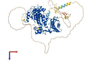 POLH Protein (AA 1-713) (His tag)