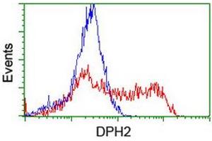 HEK293T cells transfected with either RC201382 overexpress plasmid (Red) or empty vector control plasmid (Blue) were immunostained by anti-DPH2 antibody (ABIN2455859), and then analyzed by flow cytometry. (DPH2 Antikörper)