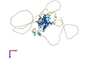 ZBTB25 Protein (AA 1-435) (His tag)