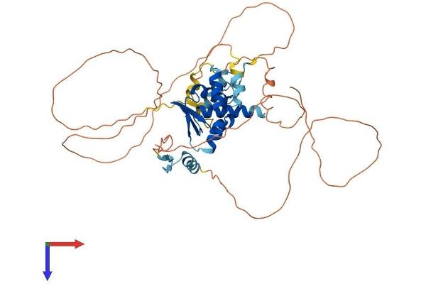 ZBTB25 Protein (AA 1-435) (His tag)