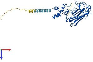 FBXO2 Protein (AA 1-297) (His tag)
