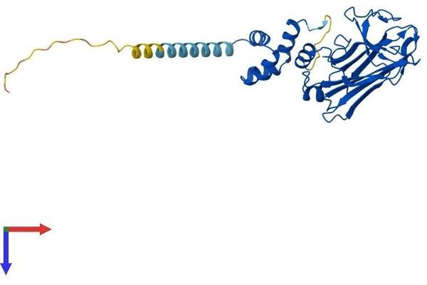 FBXO2 Protein (AA 1-297) (His tag)